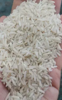 فروش برنج طارم هاشمی دم سیاه