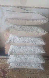 بالشت