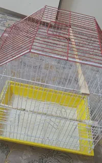 قفس پرنده