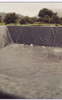 فروش ویژه انواع لوله پلی اتیلن و ورق ژئوممبران