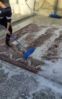 قالیشویی وحدت