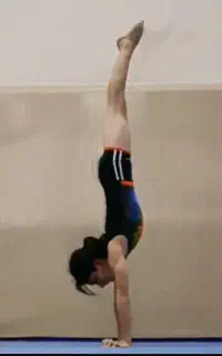 آموزش ژیمناستیک و پارکور (باشگاه)