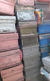 کندوی زنبور عسل خالی