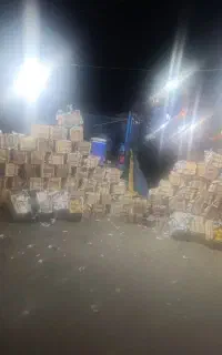انبه گوشتی درجه یک