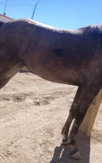 فروشی وبابره هم معامله میکنم فقط تماس پاسخ گوهستم