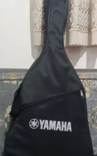 گیتار Diamond