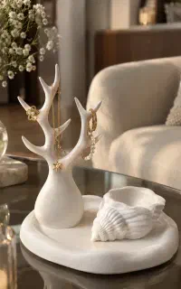 اکسسوری عکاسی و استند جواهرات