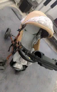 کالسکه دلیجان