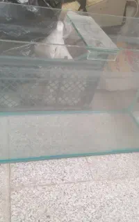 آکواریوم