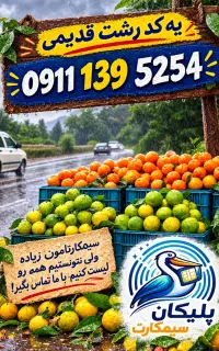 0911-139-5254 0911-234-2592