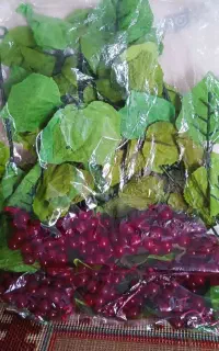 رزانگور تزیینی