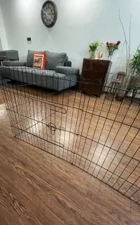 پارک مخصوص پت