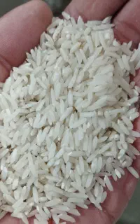 برنج هاشمی سالم و نیمدانه