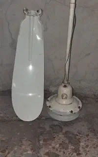 پنکه