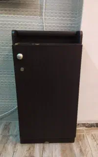 جا کفشی