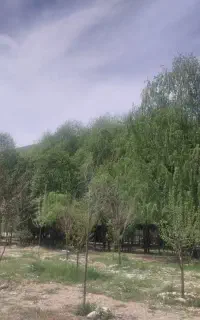 تور یک روزه ویژه بانوان رودبال