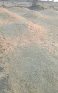 کاه فروشی