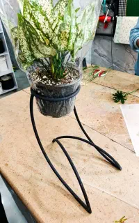 استند گل فلزی