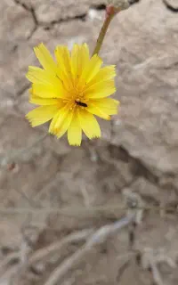 آتلیه آنلاین عکس