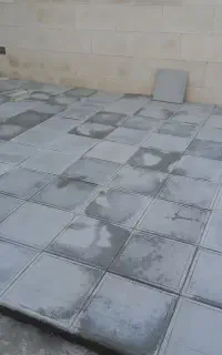 یه شاگرد گرکمه