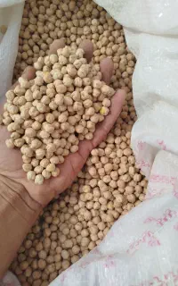 نخود درجه یک گوکسو نسوز