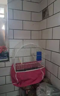 قفس پرنده