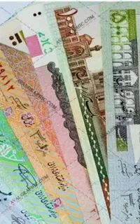پول پیدا کردم با دادن نشانی کامل آن را دریافت کنید