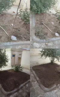 درست کردن باغچه پذیرفته میشود