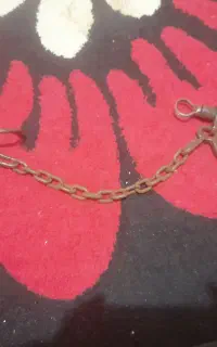 پابند اسب (پُخو ، دو دست)