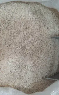 برنج هاشمی مازندران