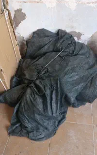 سایبان سبز