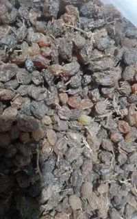 کشمش آفتابی و تیزابی کیلو ۴۵۰هزار تومان