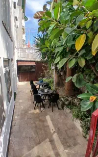 همکار برای راه اندازی کافه در مجموعه هنری