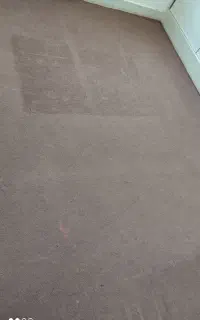 موکت