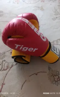 کیک بوکسینگ