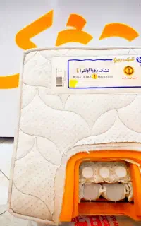 تشک طبی فنری رویا