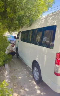 ون هایس دربستی