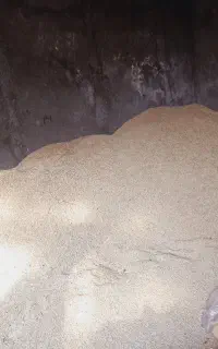 کشاورزی