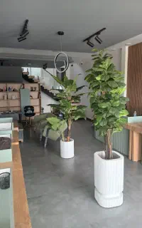 استخدام نیروی خدماتی(آبدارچی و آشپز)در دفتر املاک