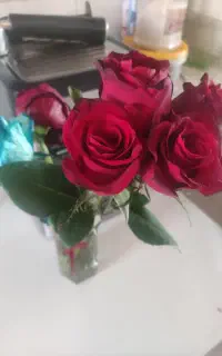 ضامن نیازمندم