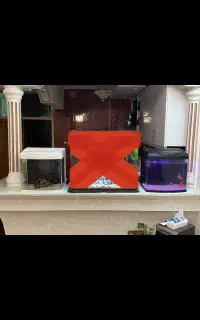 اکواریوم شرکتی سفارشی