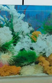 اکواریوم شرکتی شیشه خم