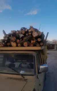 خرید و فروش چوب