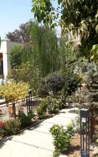 خدمات حرفه‌ای فضای سبز ( ویزیت رایگان )