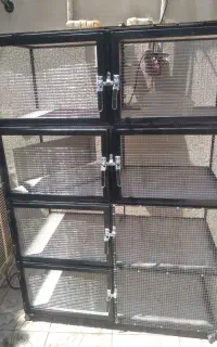جفت کن کبوتر