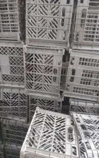 سبدمیوه