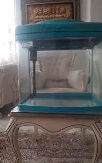 آکواریوم