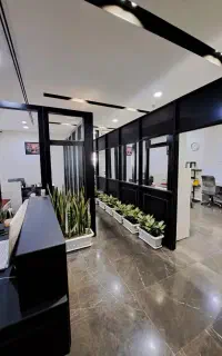 استخدام مبتدی و حرفه ای