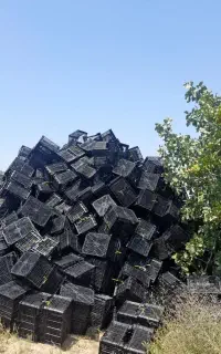 نیاز مند نگهبان