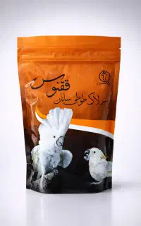 سرلاک طوطی سانان